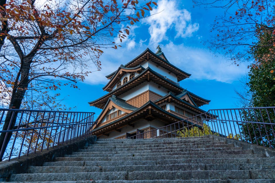 滋賀県の老健（介護老人保健施設）費用相場・リハビリ内容・入居条件を徹底解説【2026年版】