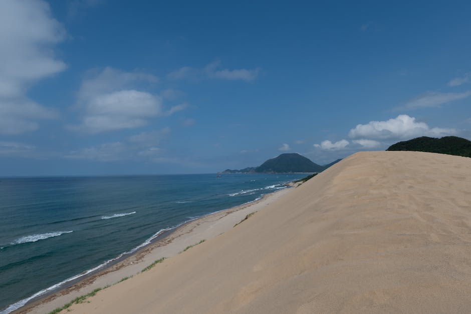 鳥取県の特別養護老人ホーム費用相場と入居条件【待機期間・相談窓口まとめ】